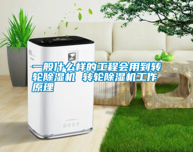 一般什么样的工程会用到转轮除湿机 转轮除湿机工作原理