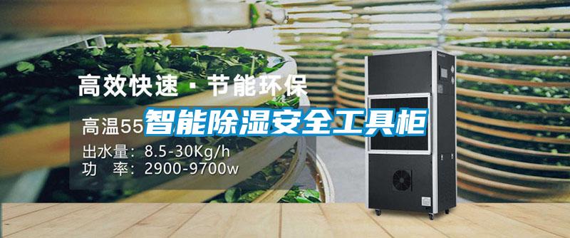 智能除湿安全工具柜