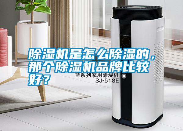 除湿机是怎么除湿的，那个除湿机品牌比较好？