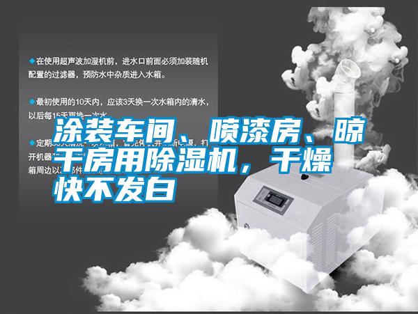 涂装车间、喷漆房、晾干房用除湿机，干燥快不发白