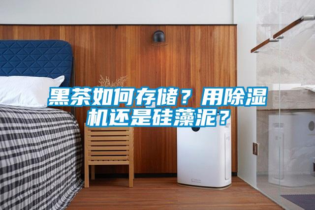 黑茶如何存储？用除湿机还是硅藻泥？