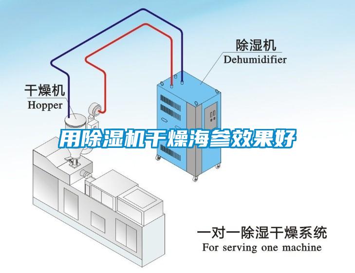 用除湿机干燥海参效果好