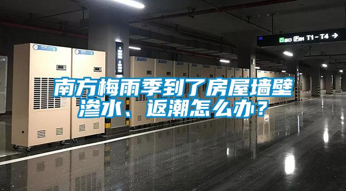 南方梅雨季到了房屋墙壁渗水、返潮怎么办？