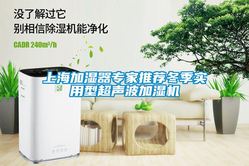 上海加湿器专家推荐冬季实用型超声波加湿机