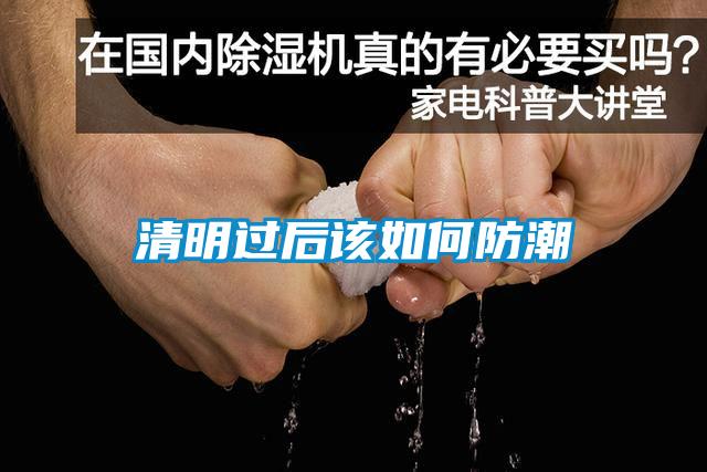 清明过后该如何防潮