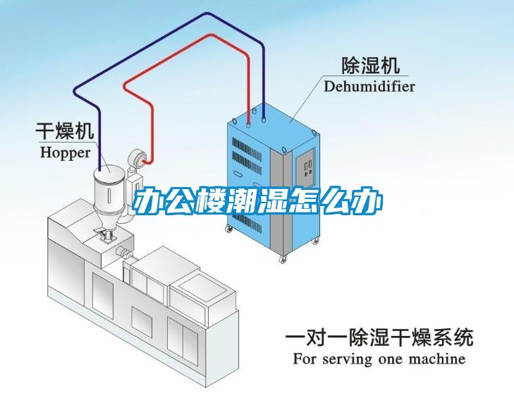 办公楼潮湿怎么办