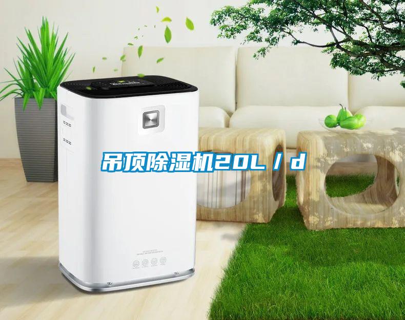 吊顶除湿机20L／d