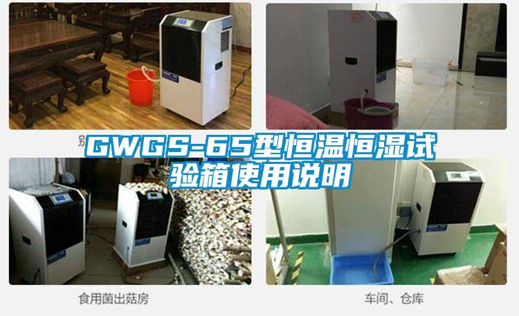 GWGS-65型恒温恒湿试验箱使用说明