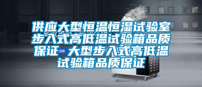 供应大型恒温恒湿试验室步入式高低温试验箱品质保证 大型步入式高低温试验箱品质保证