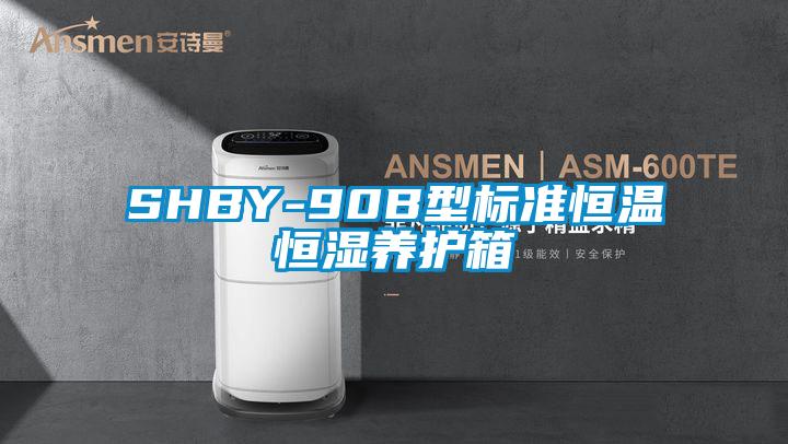 SHBY-90B型标准恒温恒湿养护箱