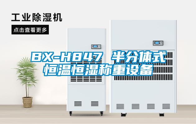 BX-H847 半分体式恒温恒湿称重设备