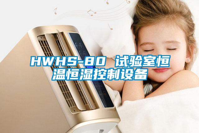 HWHS-80 试验室恒温恒湿控制设备