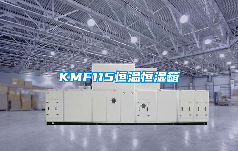 KMF115恒温恒湿箱