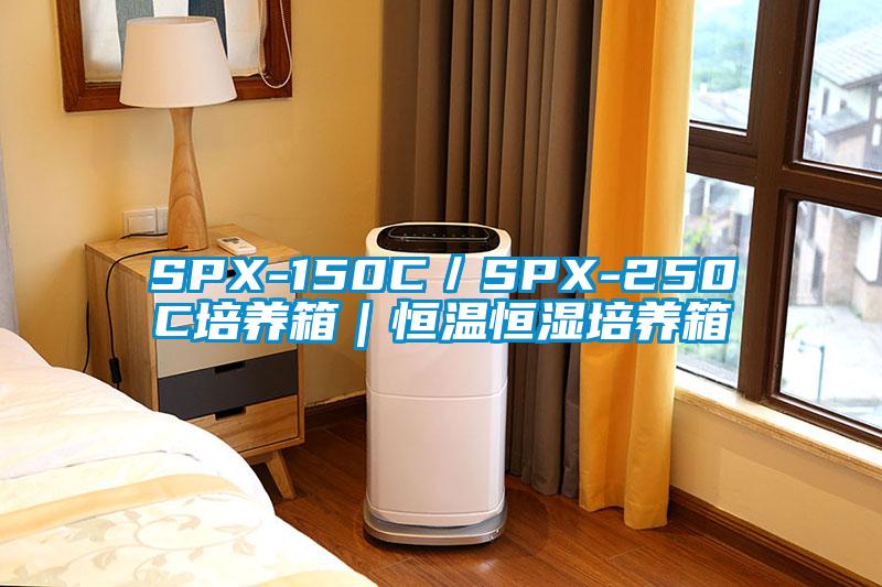 SPX-150C／SPX-250C培养箱｜恒温恒湿培养箱