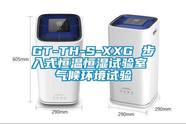 GT-TH-S-XXG 步入式恒温恒湿试验室 气候环境试验