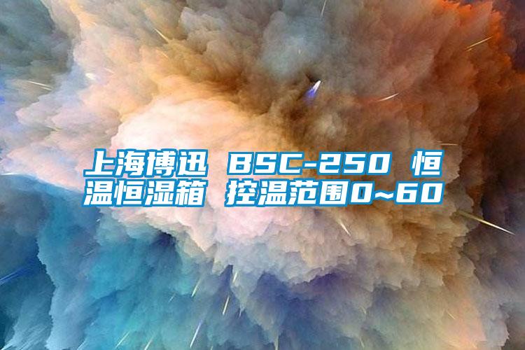 上海博迅 BSC-250 恒温恒湿箱 控温范围0~60℃