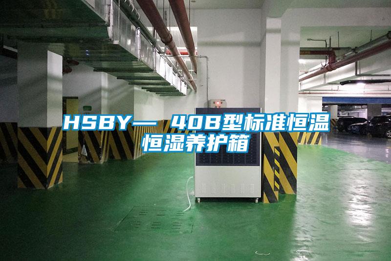 HSBY— 40B型标准恒温恒湿养护箱