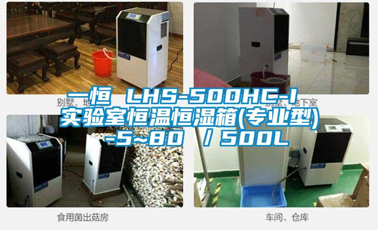 一恒 LHS-500HC-I 实验室恒温恒湿箱(专业型) -5~80℃／500L