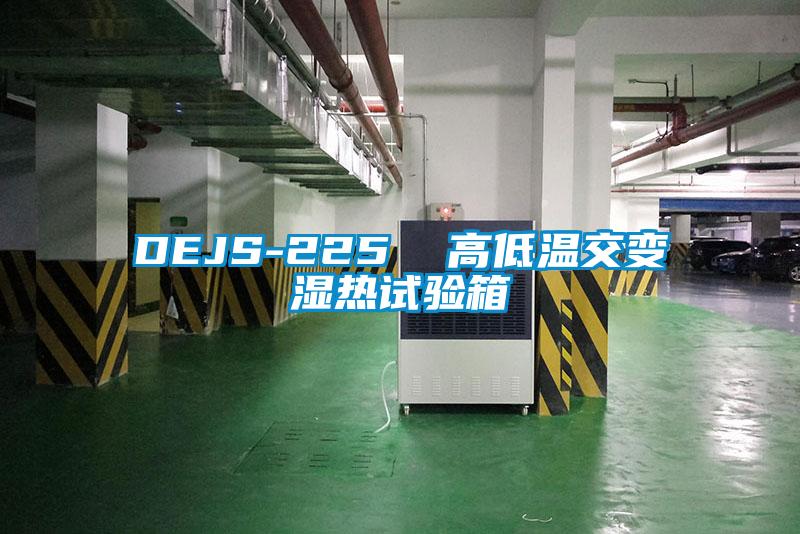 DEJS-225  高低温交变湿热试验箱