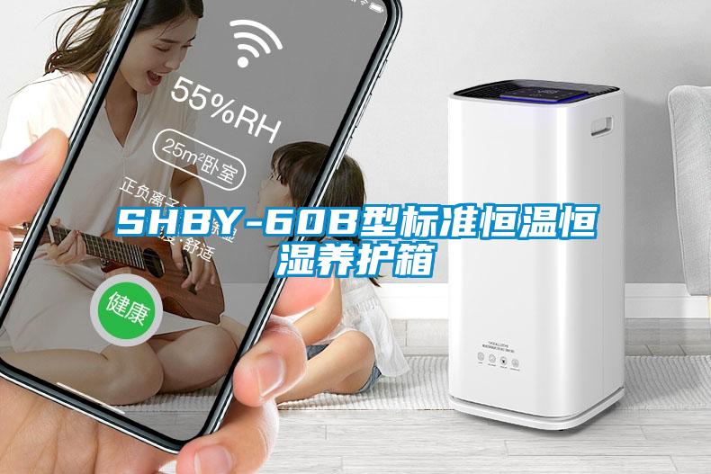 SHBY-60B型标准恒温恒湿养护箱