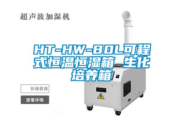 HT-HW-80L可程式恒温恒湿箱 生化培养箱