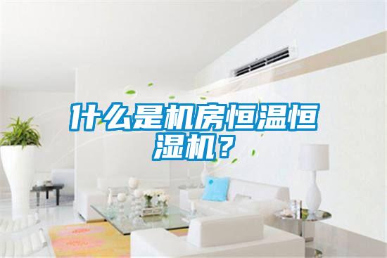 什么是机房恒温恒湿机？