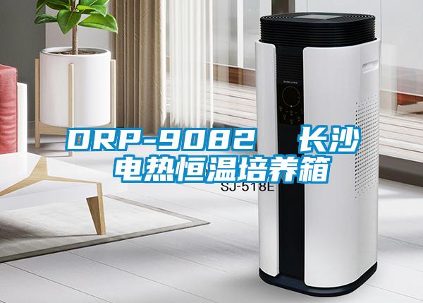 DRP-9082  长沙 电热恒温培养箱