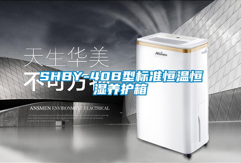 SHBY-40B型标准恒温恒湿养护箱