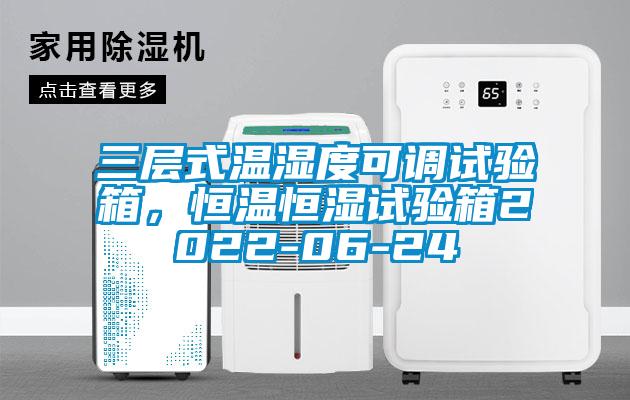 三层式温湿度可调试验箱，恒温恒湿试验箱2022-06-24