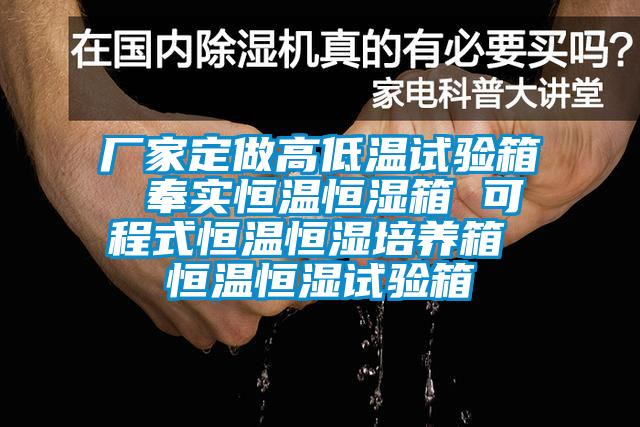 厂家定做高低温试验箱 奉实恒温恒湿箱 可程式恒温恒湿培养箱 恒温恒湿试验箱