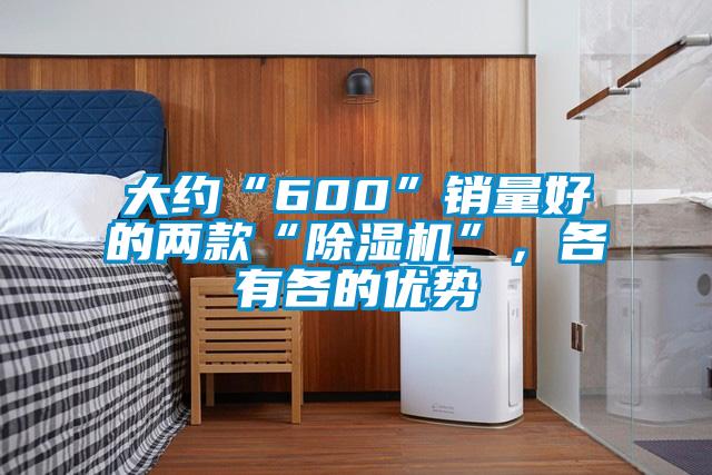 大约“600”销量好的两款“除湿机”，各有各的优势