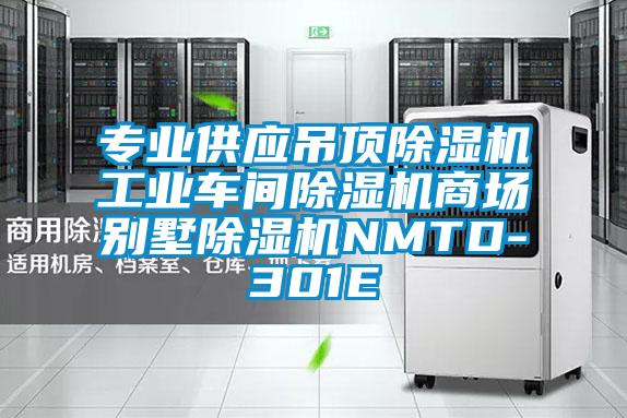 专业供应吊顶除湿机工业车间除湿机商场别墅除湿机NMTD-301E