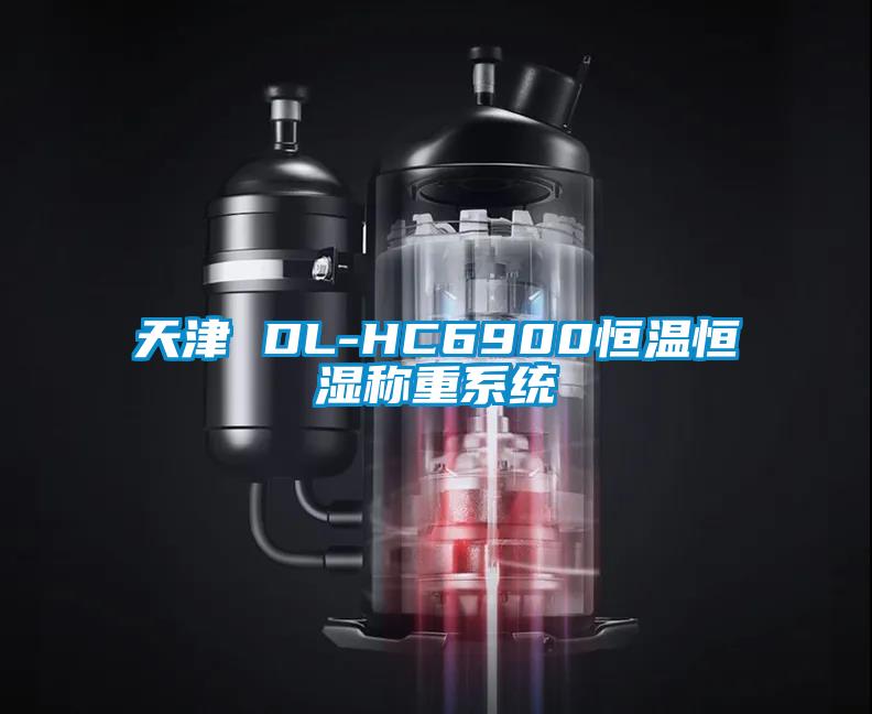 天津 DL-HC6900恒温恒湿称重系统