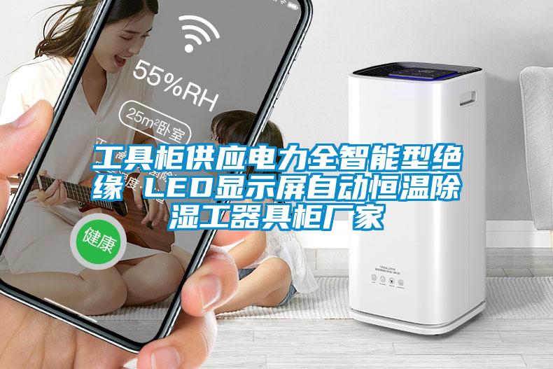 工具柜供应电力全智能型绝缘 LED显示屏自动恒温除湿工器具柜厂家