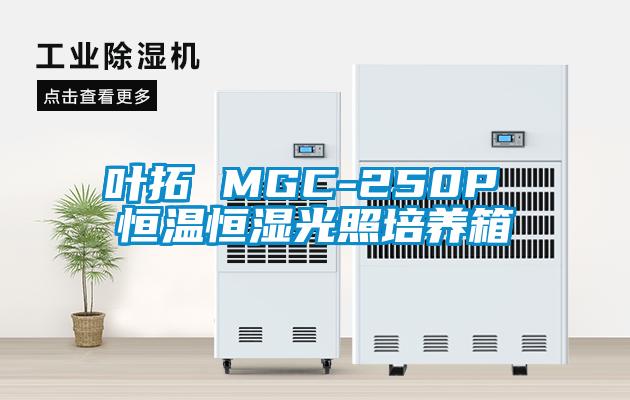 叶拓 MGC-250P 恒温恒湿光照培养箱