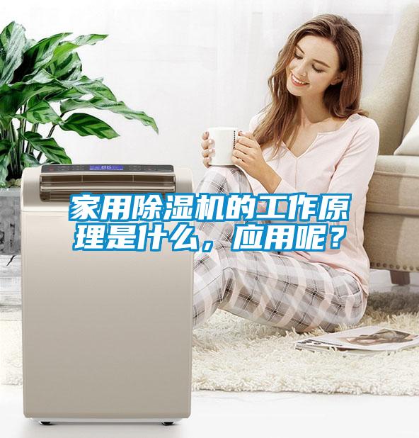 家用除湿机的工作原理是什么，应用呢？