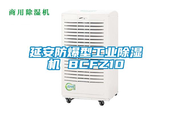 延安防爆型工业除湿机 BCFZ10