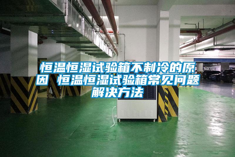 恒温恒湿试验箱不制冷的原因 恒温恒湿试验箱常见问题解决方法