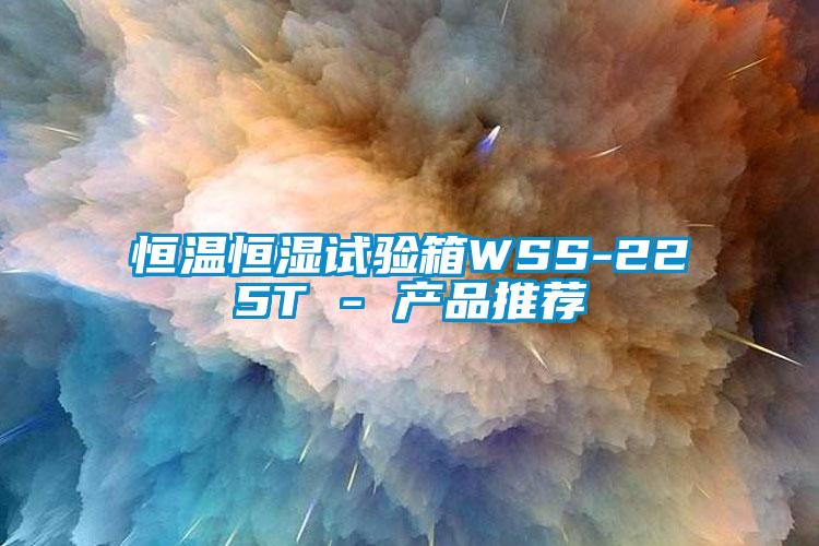 恒温恒湿试验箱WSS-225T - 产品推荐