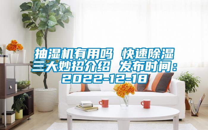 抽湿机有用吗 快速除湿三大妙招介绍 发布时间：2022-12-18