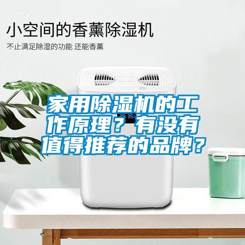 家用除湿机的工作原理？有没有值得推荐的品牌？