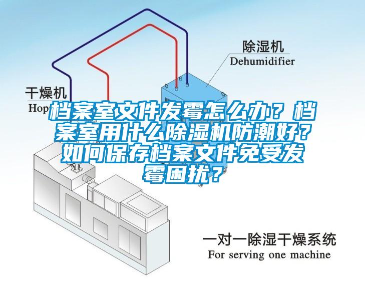 档案室文件发霉怎么办？档案室用什么除湿机防潮好？如何保存档案文件免受发霉困扰？