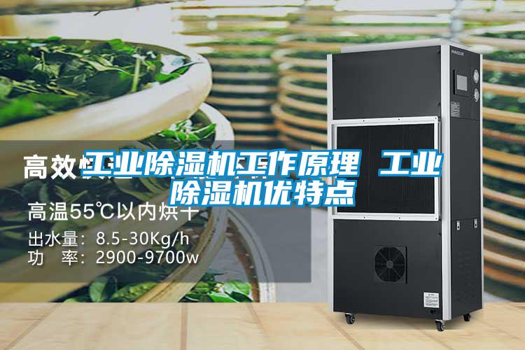 工业除湿机工作原理 工业除湿机优特点