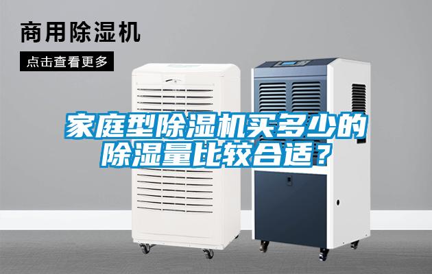 家庭型除湿机买多少的除湿量比较合适？