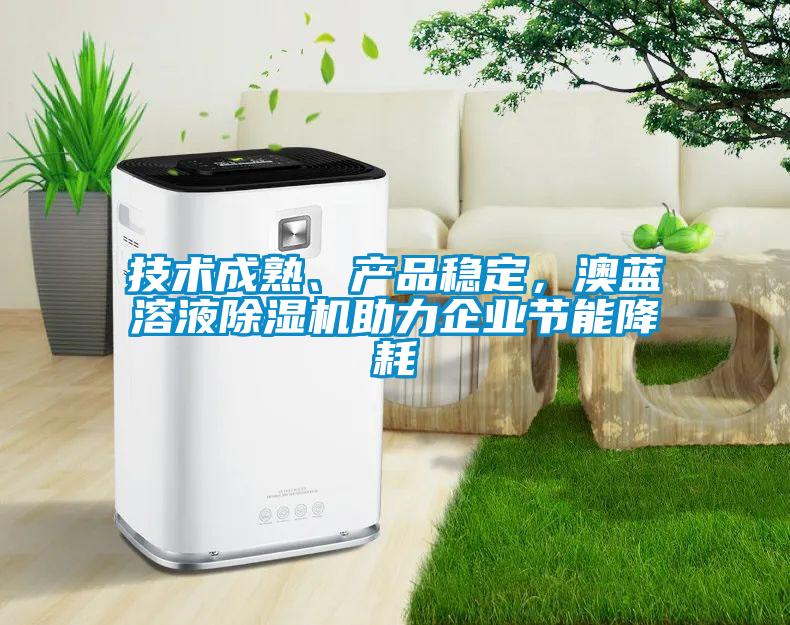 技术成熟、产品稳定，澳蓝溶液除湿机助力企业节能降耗