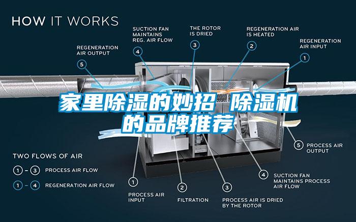 家里除湿的妙招 除湿机的品牌推荐