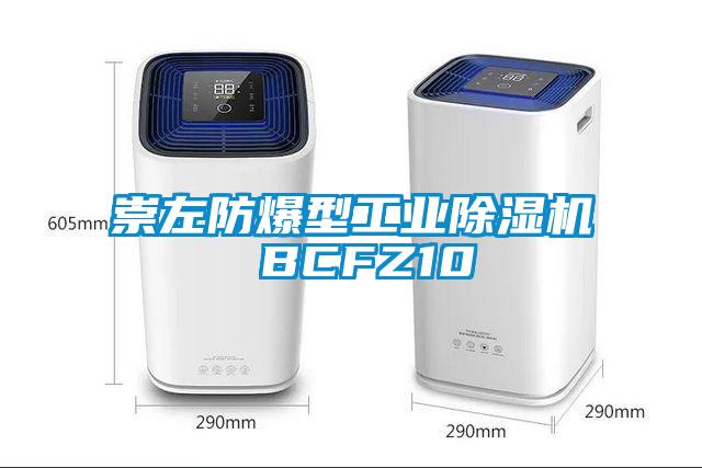 崇左防爆型工业除湿机 BCFZ10