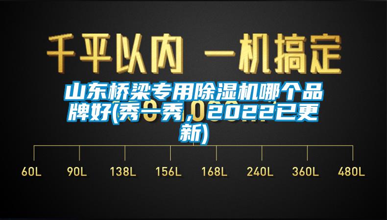 山东桥梁专用除湿机哪个品牌好(秀一秀，2022已更新)