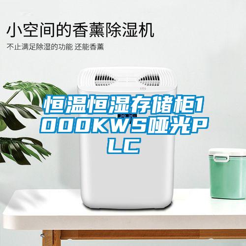 恒温恒湿存储柜1000KWS哑光PLC