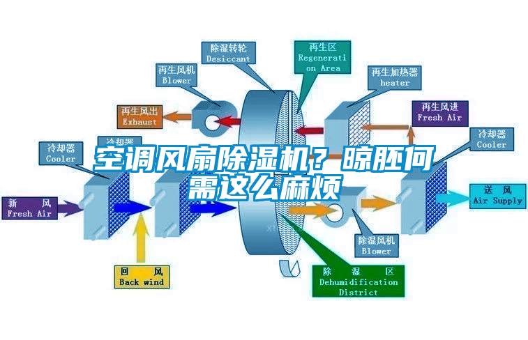 空调风扇除湿机？晾胚何需这么麻烦